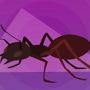 Apache Ant быстрый старт