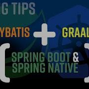 Spring Tips Spring Native And MyBatis