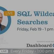 SQL Wildcard Searches