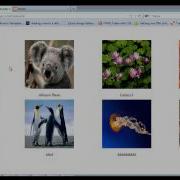 Php Photo Gallery Script Www Phpuncle Com
