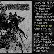 Sulfuric Cautery Tolerance Split LP FULL ALBUM 2026 Goregrind