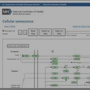 RNA Seq Data Analysis Tutorial 7 1 Gene Annotation And Enrichment Analysis Using Web Tools And AI