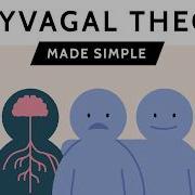 Упрощенная поливагальная теория