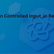 React Tutorial 2 Learn Controlled Input