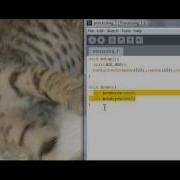 How To Create A Shape Drawing Pad Like Doodle Kids In Processing The Basics Part 2