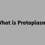 What Is Protoplasm