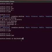 Linux Terminal Commands And Navigation For Beginners Part2