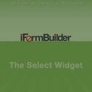 IFormBuilder Widget The Select Widget