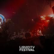 Skeptical Liquicity Festival 2025 Full Set