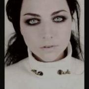 Evanescence Understanding Acoustic