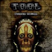 Tool Stinkfist Feat Buzz Osborne Live In Kalamazoo