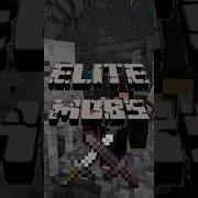 QUICK REVIEW OF THE PLUGIN ELITE MOBS
