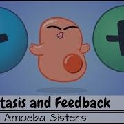 Homeostasis And Negative Positive Feedback