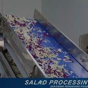 Salad Processing Line Salad Cutting Washing Machinery