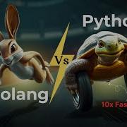 Is Python Faster Than Go SHOCKING