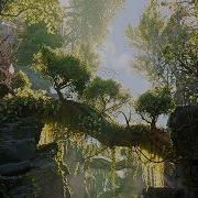 Creating A Forest Scene In Blender 5 0 Arborea Edition