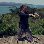 Tai Chi 5 Minutes A Day Module 01 Easy For Beginners The Wave And Embracing The Moon