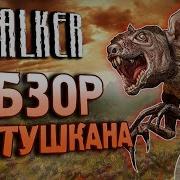 S T A L K E R ВСЁ о ТУШКАНАХ Как их создали
