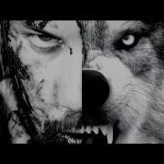 Beartooth Loser Sub Español