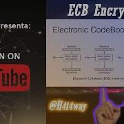 WebSec ECB Encryption Auth Bypass