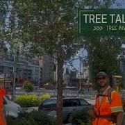 Tree Talk Tree Inventory