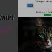 Javascript Age In Days Project Javascript HTML CSS