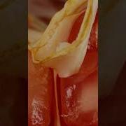 Pomegranate Peeling Up Close Urday Macro Closeup Asmr