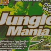 Jungle Mania 2 CD 1 Unmixed 1994
