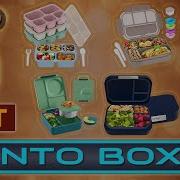 TOP 5 Best Bento Boxes 2025 Stylish Leak Proof Kid Friendly Lunch Box Picks