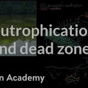 Eutrophication And Dead Zones Ecology Khan Academy