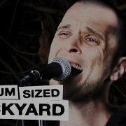 JMSN Live In The Medium Sized Backyard