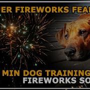 Fireworks Sounds For Dog Training DESENSITIZATION COUNTERCONDITIONING