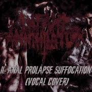 Infant Annihilator II Anal Prolapse Suffocation Vocal Cover
