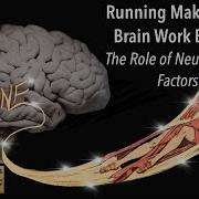 Running Makes Your Brain Work Better The Role Of Neurotrophic Factors