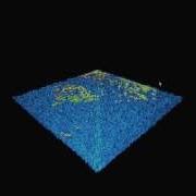 CUDA Simulation And GLSL Visualization Improved Flocking