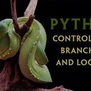 Python Control Flow Branching And Looping Structures V2024