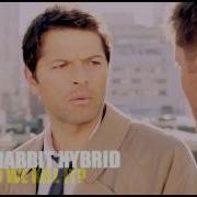 I Ll Interogate The Cat Castiel HUMOR 8x08