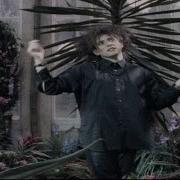 The Cure The Caterpillar