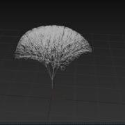 SimpleBranches2
