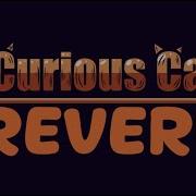 FNF Gorefield V2 Curious Cat With Reverb No HUD