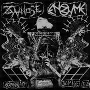 Zyanose Enzyme Permanent Damage EP