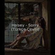 Halsey Sorry Türkçe Çeviri