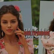 Multifandom Daisies 2 ONE DAY COLLAB