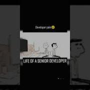 Life Of Senior Developer Shorts Chatgpt Chatgptcoding Coding Programming Tech