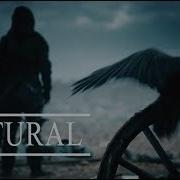 Natural Multifandom