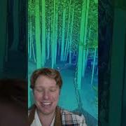 Невероятная 3D съемка леса с помощью LiDAR с помощью ROCK R3 Pro Shorts ROCKRobotic Forestry