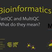 Bioinformatics Understanding FastQC MultiQC Timestamps