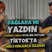 Dağlara Mı Yazdın Erdal Erdoğan