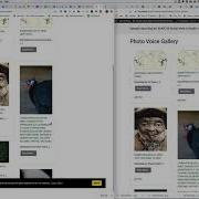 Canvas And WordPress IFrame Integration
