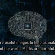 The Moths Of Programming Chapter 1 Global Variables Are Bad